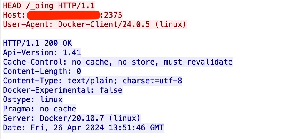 Figure 2. Ping request to the Docker Remote API Server